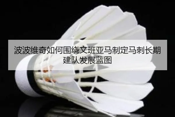波波维奇如何围绕文班亚马制定马刺长期建队发展蓝图